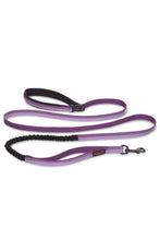 Load image into Gallery viewer, Halti All-In-One Lead (Purple) (6.8ftx0.9in)