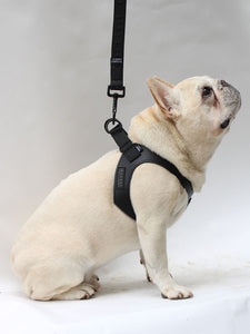 The 'Magnus Signature' Pet Patented Harness