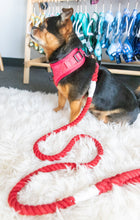 Load image into Gallery viewer, Rope Leash - Crimson