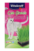 Load image into Gallery viewer, Vitakraft Cat Grass (May Vary) (4oz)