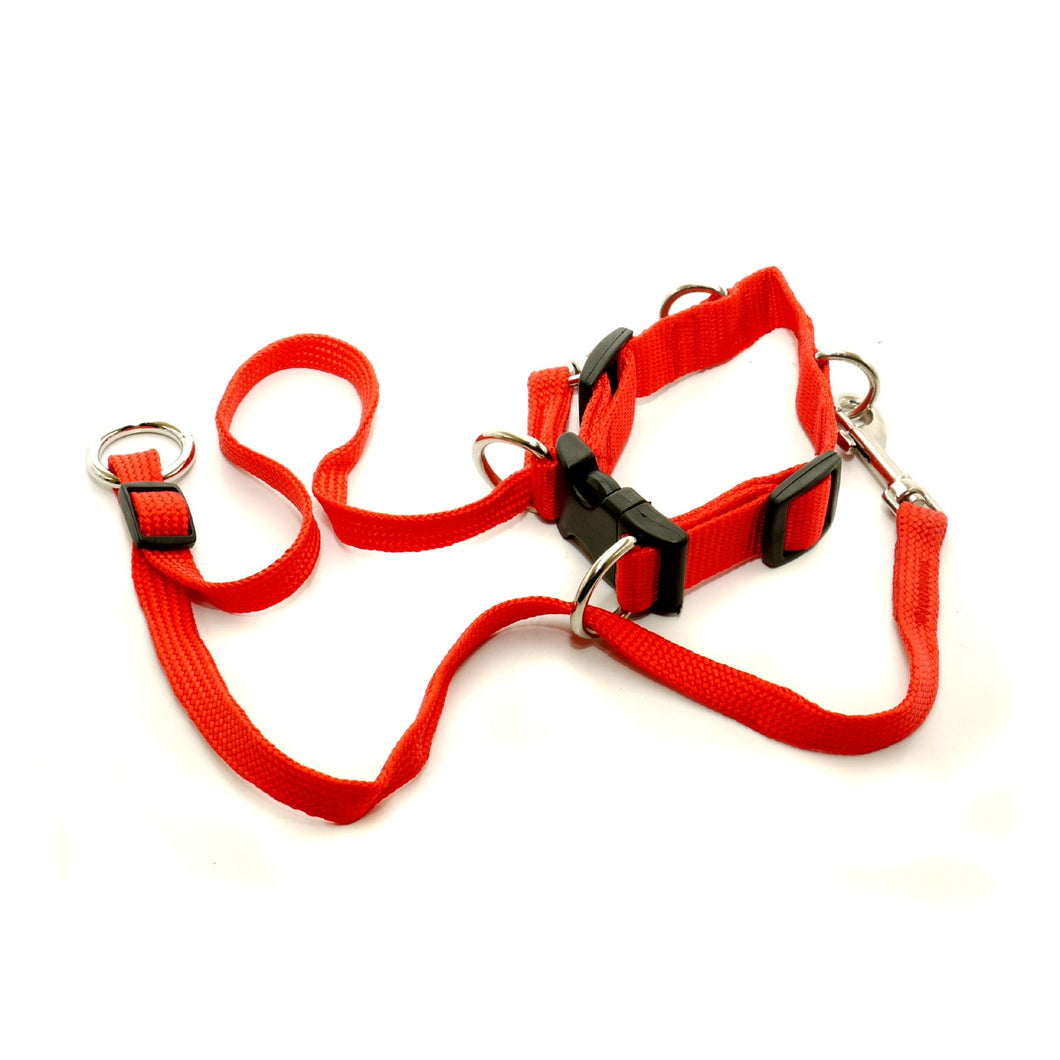 Vital Pet Products Gentledog Nylon Dog Harness (Red) (1in x 14 - 24in)