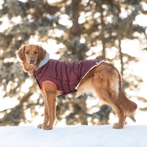 Winter Sailor Parka