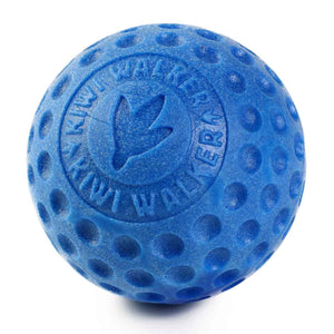 Kiwi Walker Lets Play! Foam Ball Dog Toy (Blue) (Maxi)