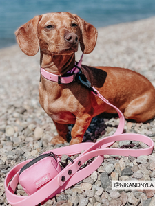 Waterproof Leash - Pink