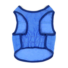 Load image into Gallery viewer, Elasto-Fit Ice Vest