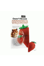 Load image into Gallery viewer, Small N Furry Gnaw T Strawberry Toy (May Vary) (2 inch)