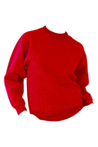 UCC 50/50 Unisex Plain Set-In Sweatshirt Top (Red)