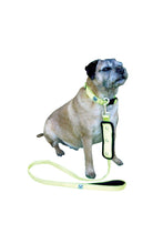 Load image into Gallery viewer, Woofmasta Flash Dog Lead (Yellow) (S/M)
