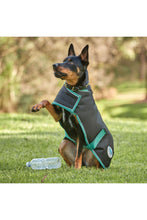 Load image into Gallery viewer, Weatherbeeta Green-Tec 900D Lite Plus Dog Coat