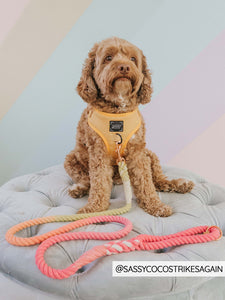 Dog Rope Leash - Sunkissed