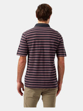 Load image into Gallery viewer, Craghoppers Mens Stanton Stripe Polo Shirt