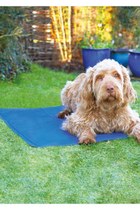 Rosewood Dog Cool Mat (Blue) (L)