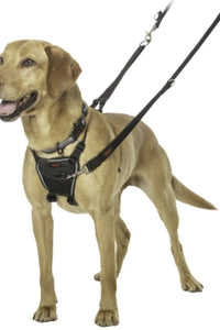 Halti No Pull Dog Harness (Black) (L)