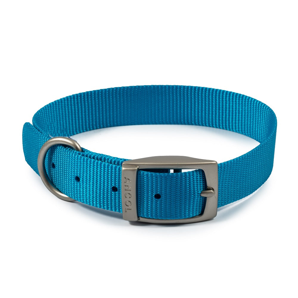 Ancol Nylon Dog Collar (Aqua Blue) (11.02in - 14.17in)