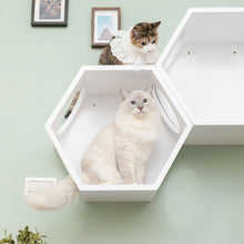 Load image into Gallery viewer, BusyCat Wall Mounted Cat Bed - White