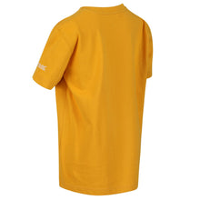 Load image into Gallery viewer, Childrens/Kids Bosley III Printed T-Shirt - California Yellow