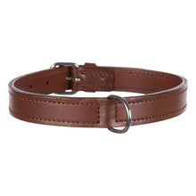 Load image into Gallery viewer, Trixie Active Leather Dog Collar (Cognac) (L, XL)
