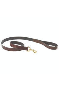 Weatherbeeta Leather Dog Lead (Brown) (One Size)