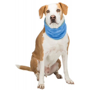Trixie Dog Cooling Bandana (Blue) (14.96in - 20.47in)