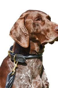 Weatherbeeta Rolled Leather Dog Collar (Black) (XXL)