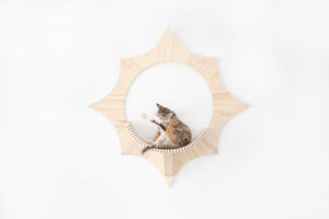 Solar: Wall Mounted Cat Shelves