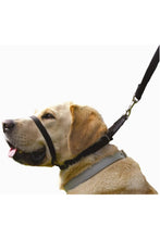 Load image into Gallery viewer, Canny Dog Training Collar (Black) (3)