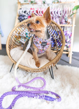 Load image into Gallery viewer, Rope Leash - Ombre Purple