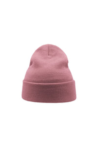 Wind Double Skin Beanie With Turn Up (Pink)
