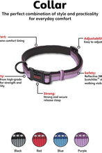 Load image into Gallery viewer, Halti Collar (Purple) (9-13in)
