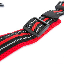 Load image into Gallery viewer, Trespass Scooby Dog Collar (Postbox Red) (S)