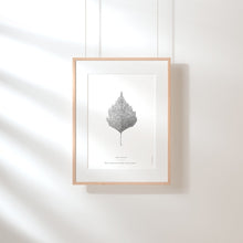 Load image into Gallery viewer, Warty Birch Leaf Art Print