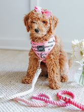 Load image into Gallery viewer, Rope Leash - Ombre Pink