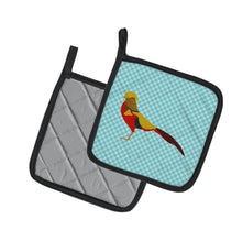 Load image into Gallery viewer, Golden or Chinese Pheasant Blue Check Pair of Pot Holders