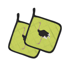 Load image into Gallery viewer, Common Ostrich Green Pair of Pot Holders
