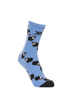 Load image into Gallery viewer, Trespass Unisex Marly Novelty Socks (Blue)