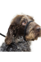 Load image into Gallery viewer, Ancol Leather Reflective Dog Slip Lead (Black) (120cm x 1.2cm)