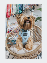 Load image into Gallery viewer, Collar - Woof Claw: Sassy Seltzer