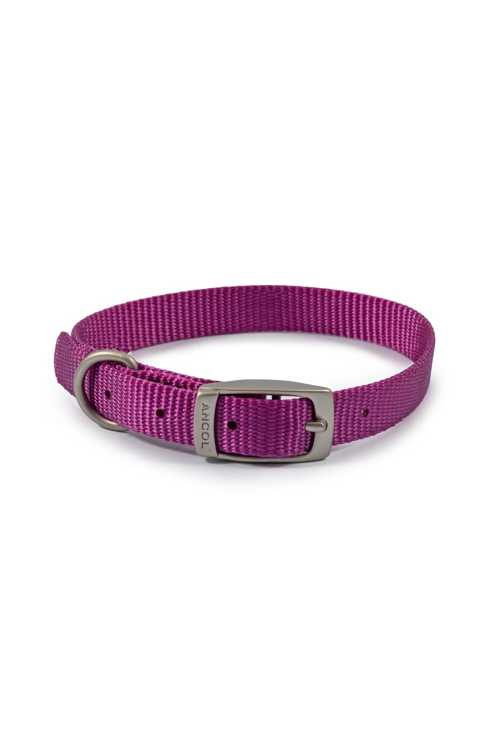 Ancol Viva Dog Collar (Purple) (2)