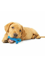 Load image into Gallery viewer, Nylabone Puppy Teething Dinosaur Toy (Blue) (S)