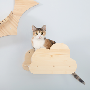 Moku Cloud-Shaped Wall Mounted Cat Shelves Solid Wood With Acrylic Plate