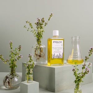 Revitalizing Body Oil With Thyme Essential Oil