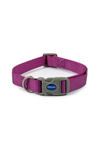 Ancol Viva Adjustable Dog Collar (Purple) (17.72in - 29.53in)