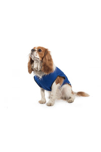 Ancol Cooling Dog Vest (Blue) (22-26in)