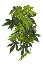 Load image into Gallery viewer, Exo Terra Terrarium Silk Abuliton Plant (Green) (Medium)