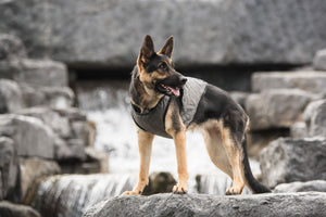 US Army Dog Cooling Vest