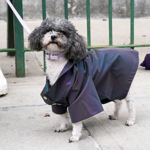 Weather Proof Pet Coat