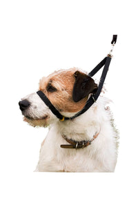 Canny Dog Training Collar (Black) (3)