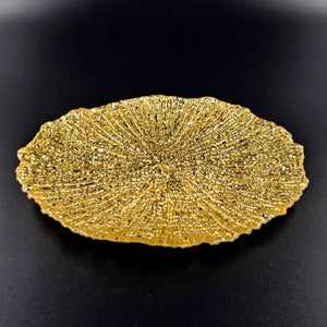 CORAL Set/4 8.5" Salad Plates