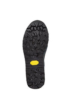 Load image into Gallery viewer, Regatta Mens Samaris Pro Waterproof Walking Boots