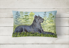 Load image into Gallery viewer, 12 in x 16 in  Outdoor Throw Pillow Cane Corso Canvas Fabric Decorative Pillow